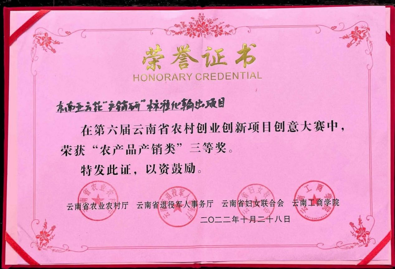 Certificate 3