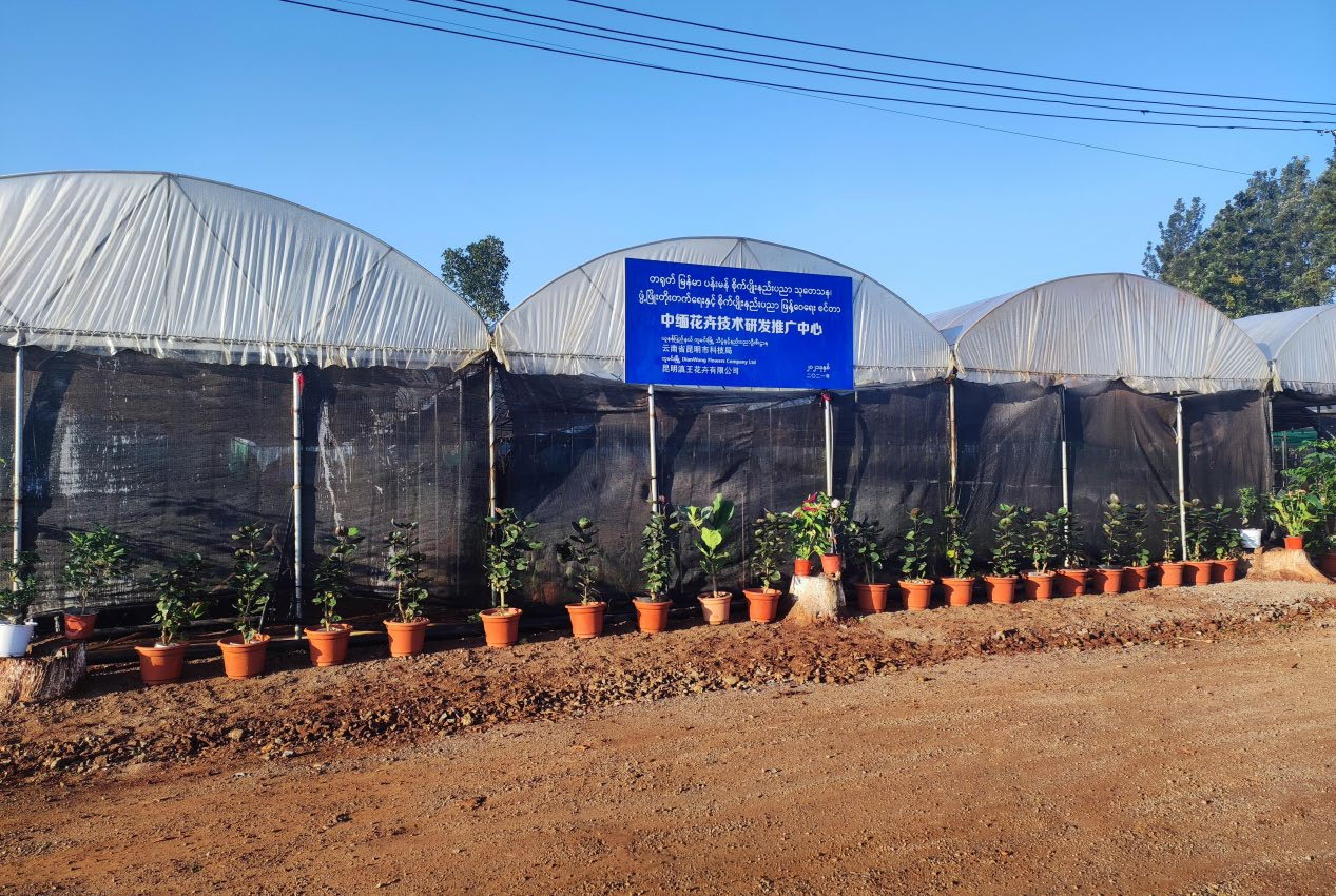 Myanmar cooperation 1